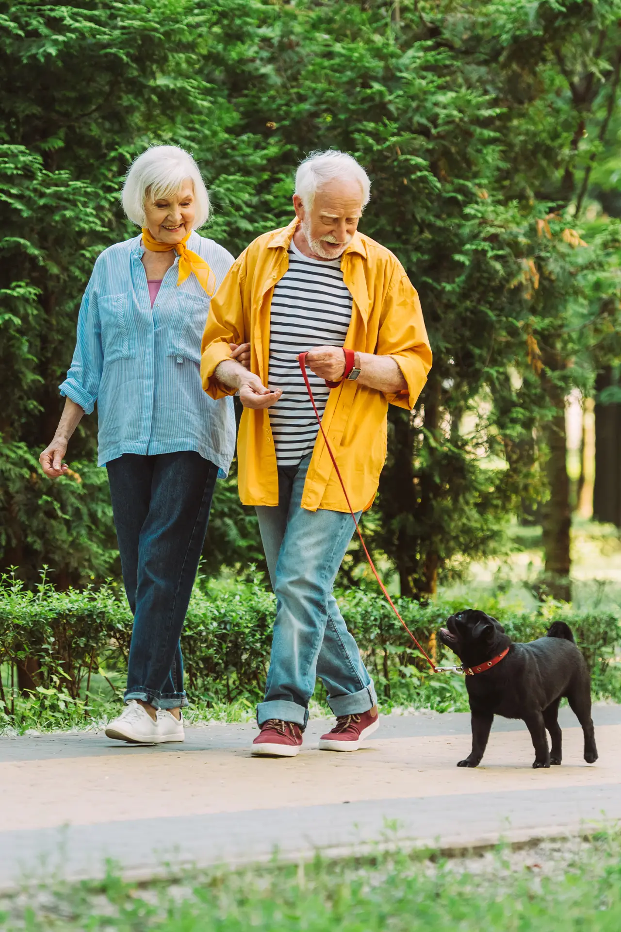 Senior couple walking dog