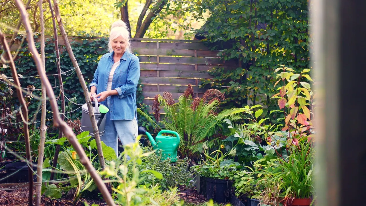 Woman watering plants in lush backyard garden